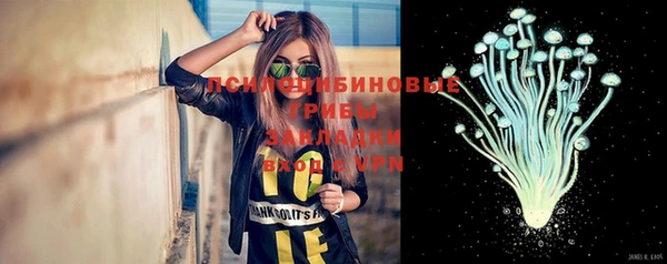 амф Алексин