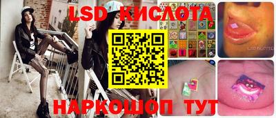 СК Кимры