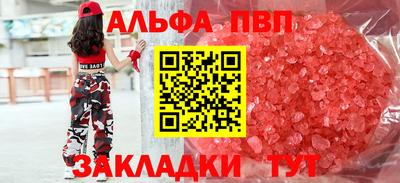мет Кингисепп