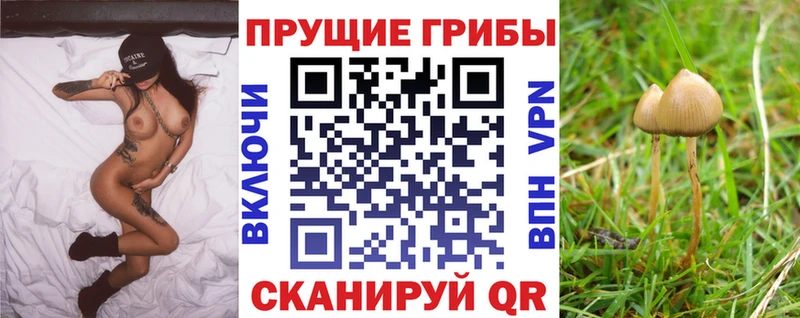 mega ссылки  как найти   Кольчугино  Галлюциногенные грибы ЛСД 