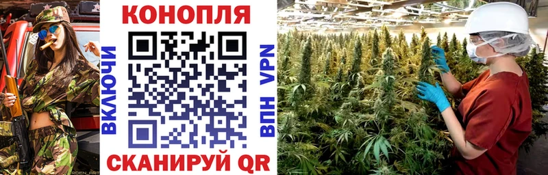 Бошки марихуана индика Кольчугино